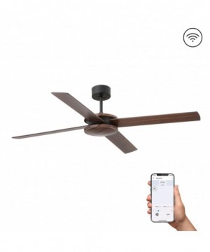 POLEA L Ventilador marr—n...