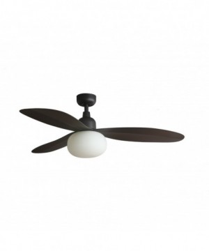 PALMA M Ventilador marr—n...