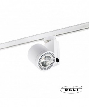 CYLINDER DALI Proyector...