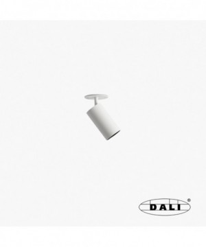 FOST PULLDOWN proyector...