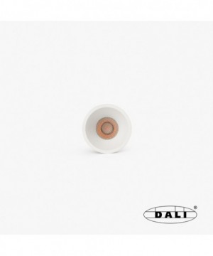 TULIPA downlight empotrable...