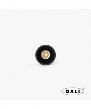 TULIPA downlight empotrable...