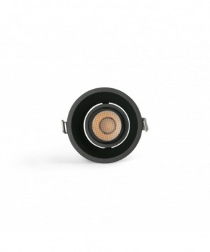 TULIPA downlight orientable...
