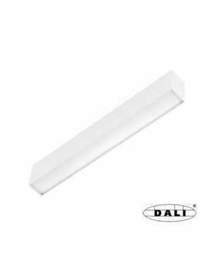 NESO LINE32 3000K blanco DALI