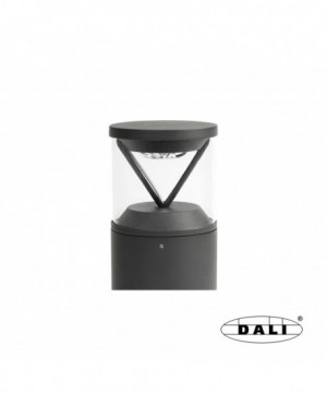 RUSH 250 Sobremuro gris...